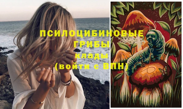 прущая мука Абаза