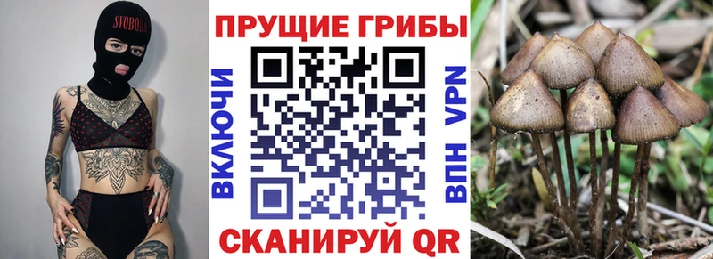 Псилоцибиновые грибы Psilocybine cubensis  где продают наркотики  Каменск-Уральский 