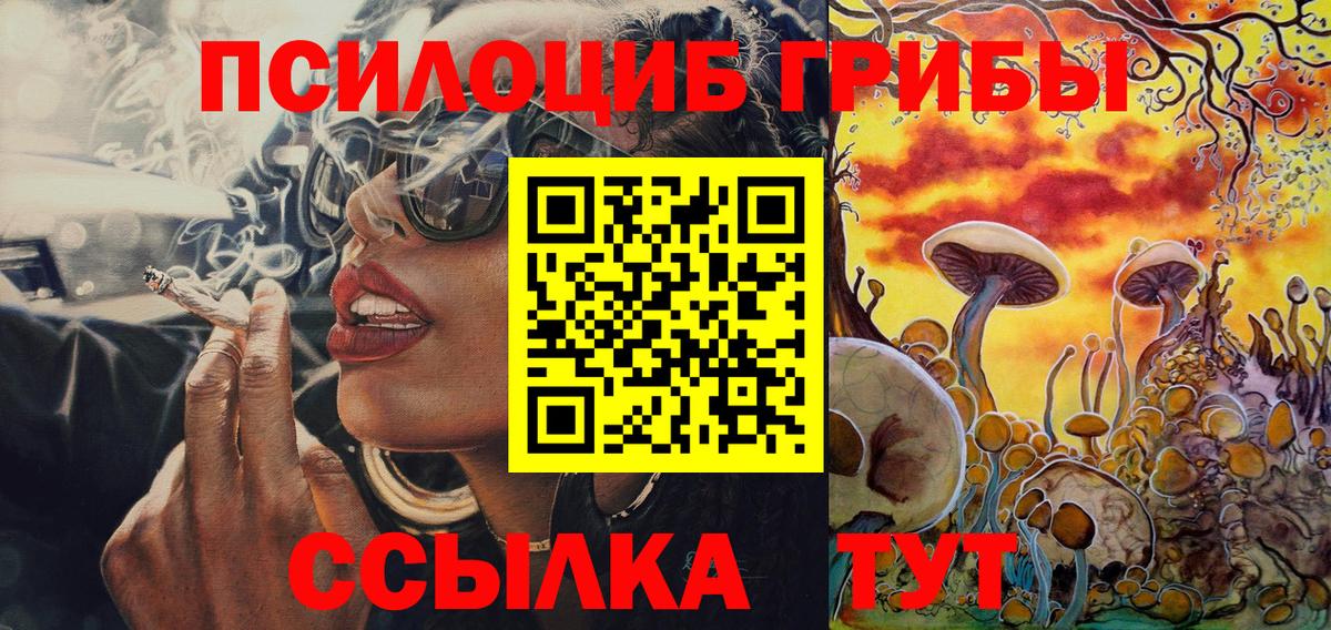 Каменск-Уральский  Псилоцибиновые грибы мухоморы  Галлюциногенные грибы мицелий  Вход с VPN 